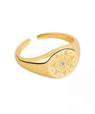 Bague chevaliere ajustable